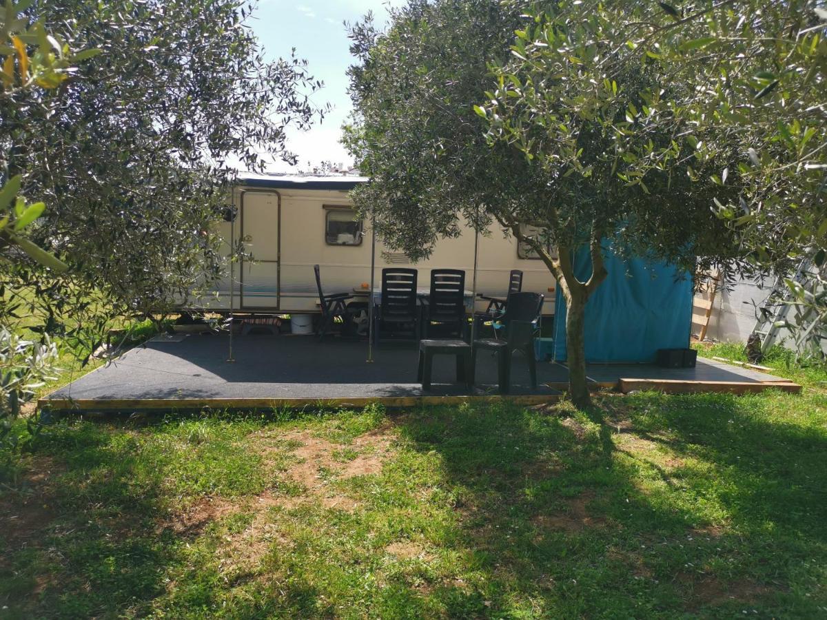 Large Camper In The Olive Grove Hotel Banjole Exterior photo