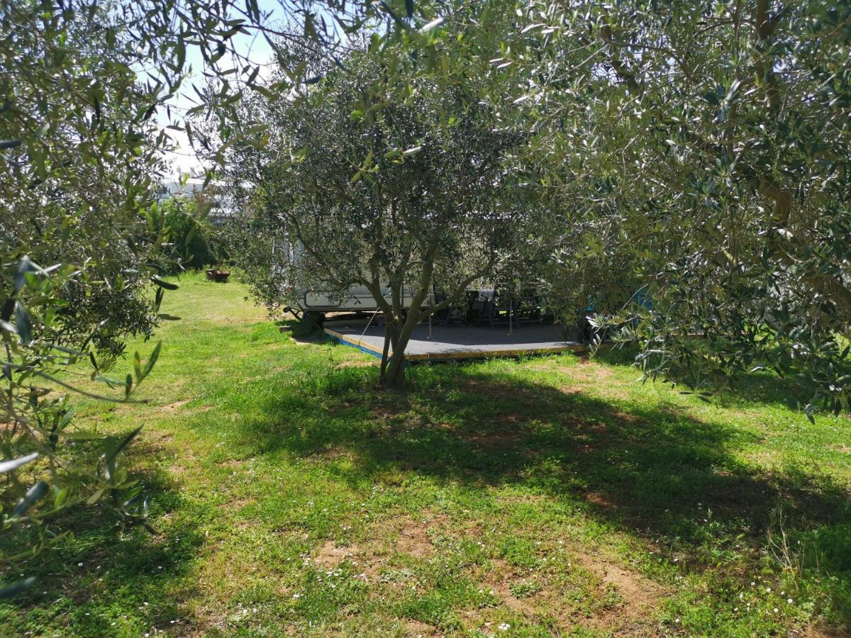 Large Camper In The Olive Grove Hotel Banjole Exterior photo